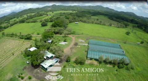 73 Hectares Farm in Filadelfia