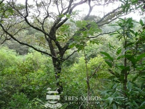 A large protected valley in the property 