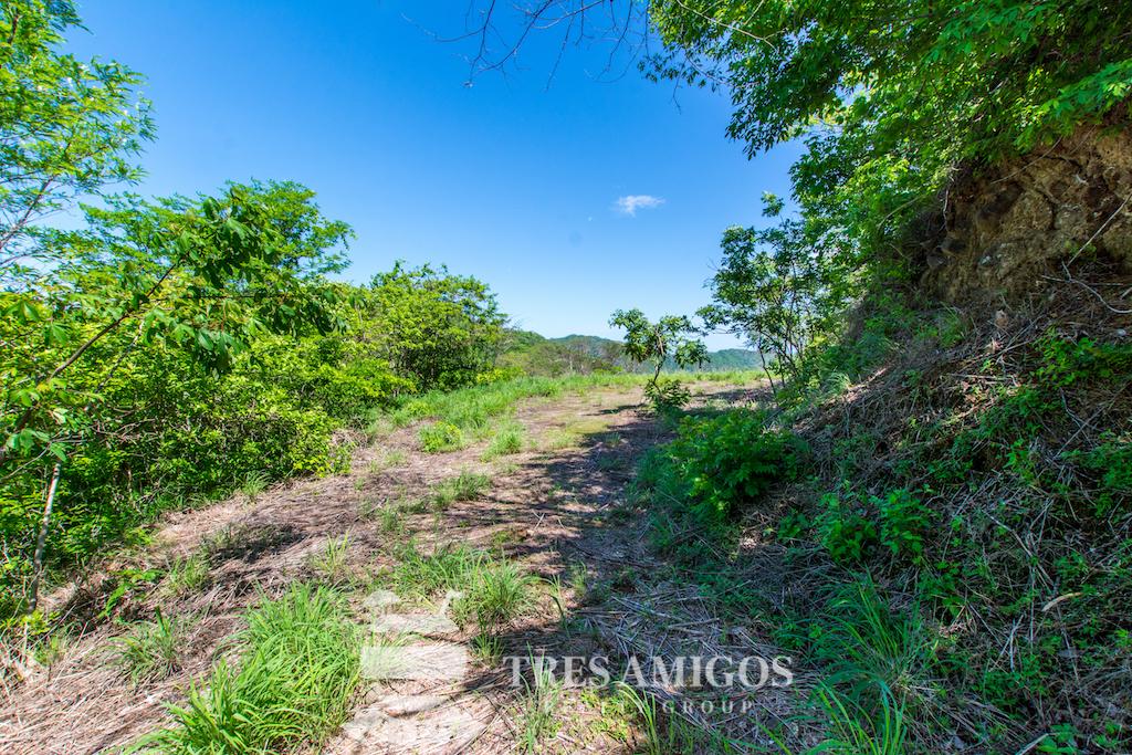 Horseback riding and hiking trails