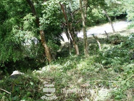 Approximately ½ acre lot in Playas del Coco