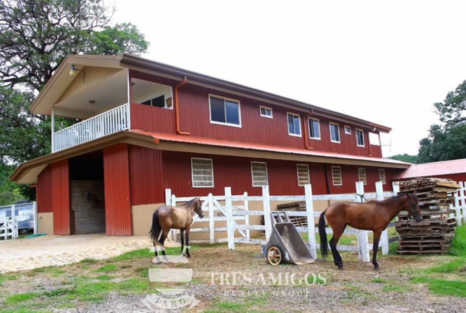 Horse stable with tack room